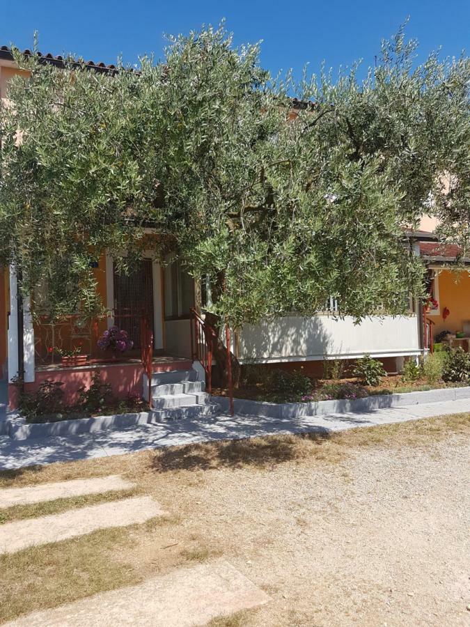 Apartman Dea Crveni Vrh Exterior foto